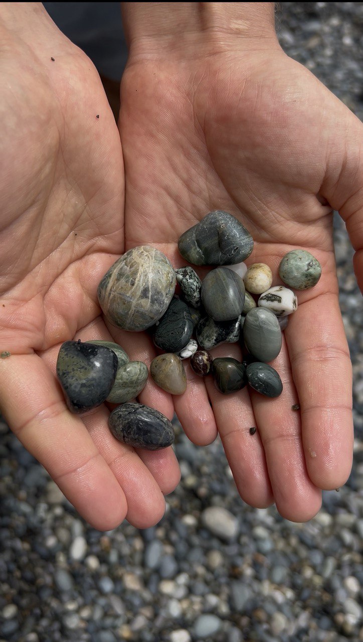 Hands full of freshly collected beach stones from Vancouver Island